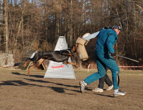 Training in Estonia 30.3 - 1.4. 2007